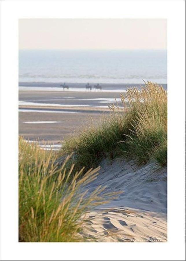 Le Saint Amand, Studio Cabine, Agreable Terrasse Sud Le Touquet 외부 사진